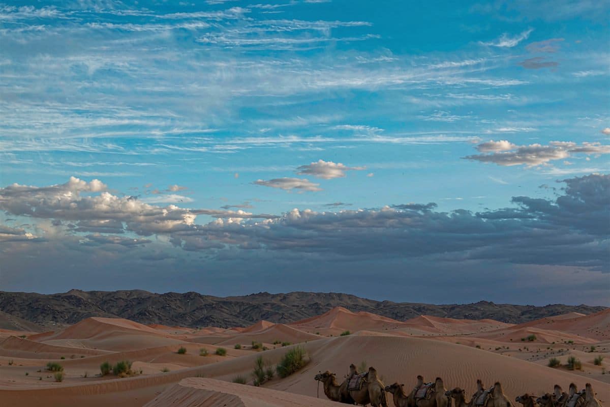 Gobi Desert