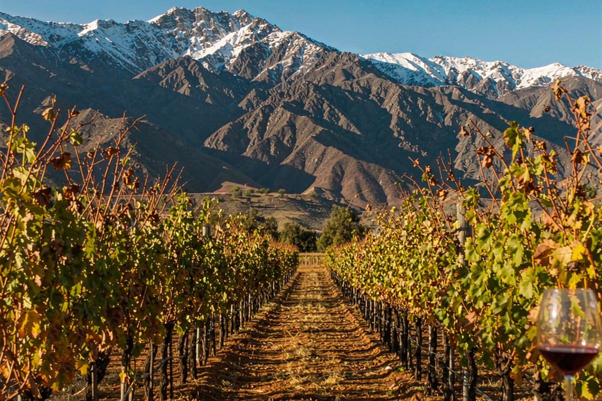 Mendoza Wine Region