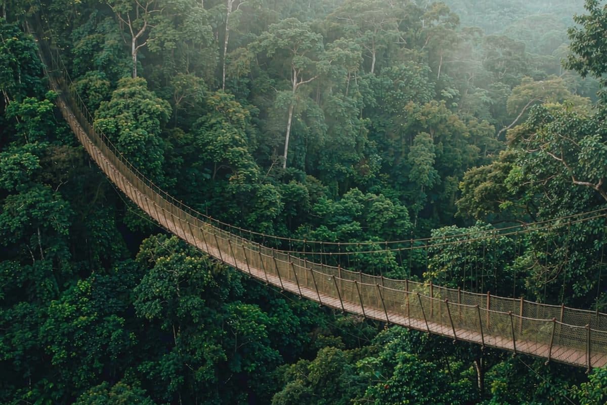 Kakum National Park