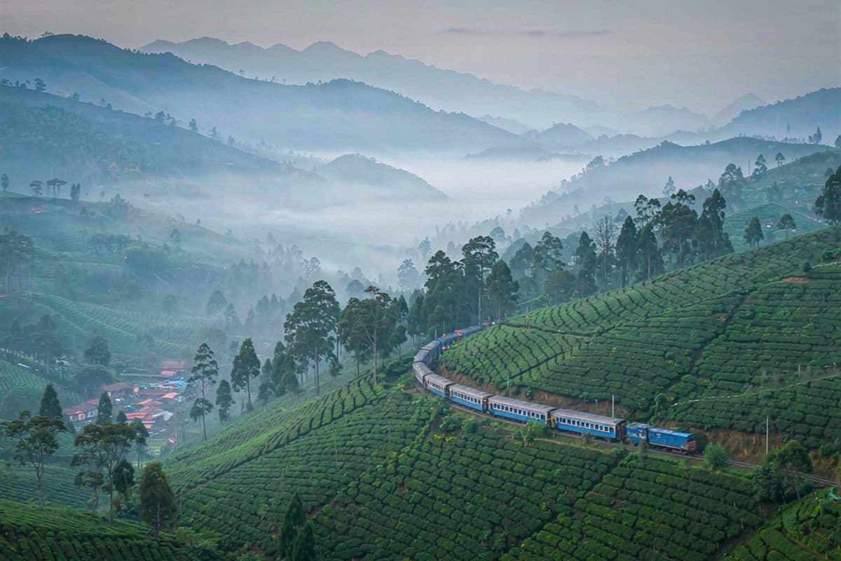 Nuwara Eliya