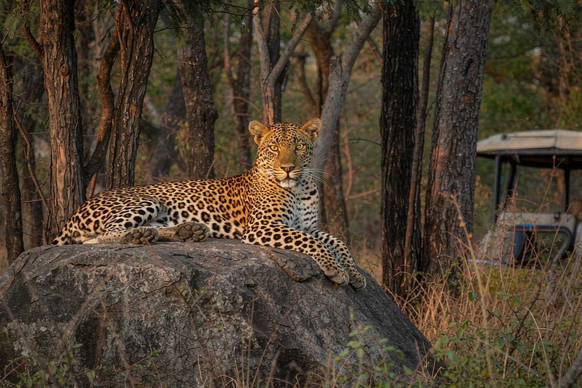 Yala National Park