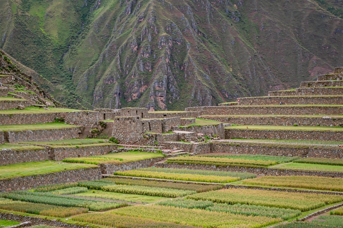Sacred Valley